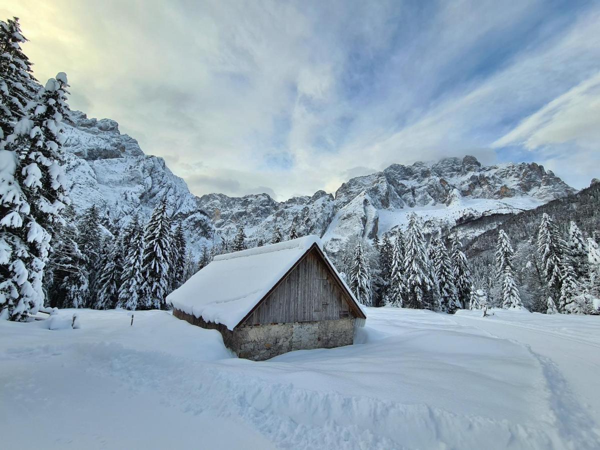 Chalet Camporosso Camporosso  Kültér fotó